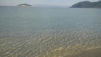 Amalia Bay