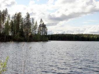 Holiday Home Syv�lahti