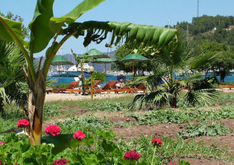 Dogan Hotel
