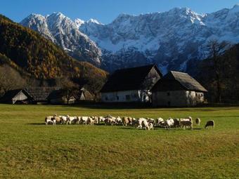 Agroturismo Tourist Farm ?enkova Doma?ija