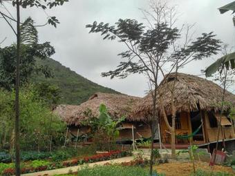 Hotel Cuc Phuong Bungalow