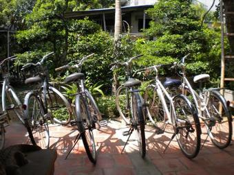 Ba Hung Homestay