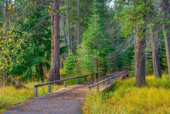 Black Butte Ranch: Authentic Ranch Cabin