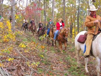 Pennyrile Forest State Resort Park