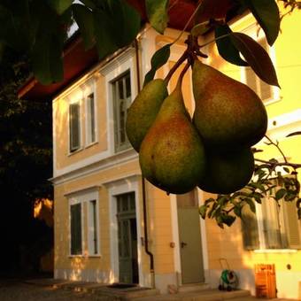 Apartamento Villa D'azeglio