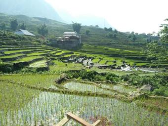 A De Homestay