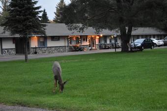 Hotel Country Club Motel