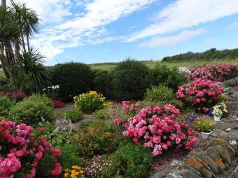 Atlantic View B&B