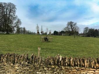 Meadow View