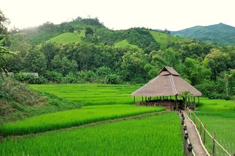 Hotel Kamu Lodge - All Inclusive