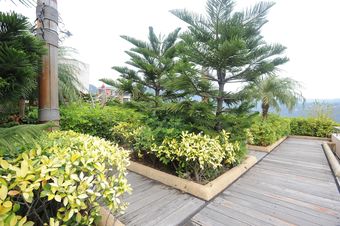 Zte Hotel Da Mei Sha
