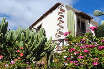 Apartamentos El Olivar - Almazara