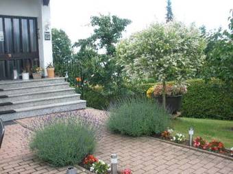 Hostal Pension Haus Irmgard