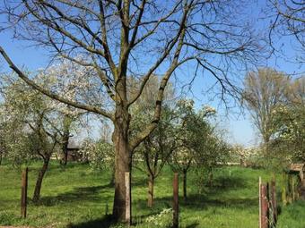 Hostal G�stehaus Kersting