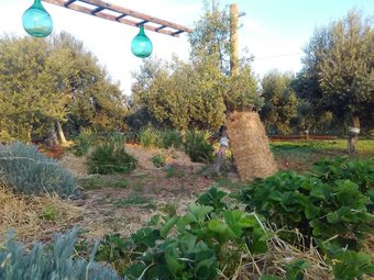 La Torretta B&B