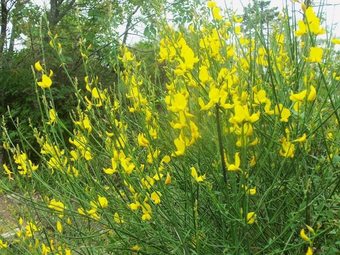 Agroturismo Agriturismo A Veggia Vigna