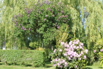 House With 2 Bedrooms In Saint-pierre-de-cormeilles, With Enclosed Garden - 28 Km From The Beach