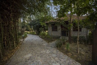 Ver fotos