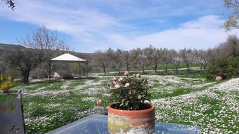B&B Le Bumbarelle