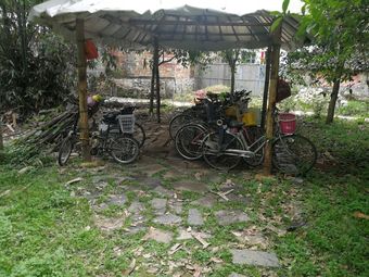 Ver fotos