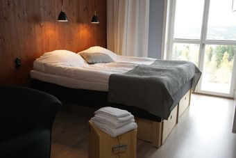 Hotel Bergshotellet