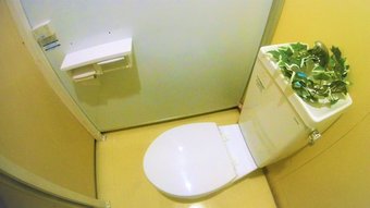 Ver fotos