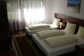 Apartment Traube