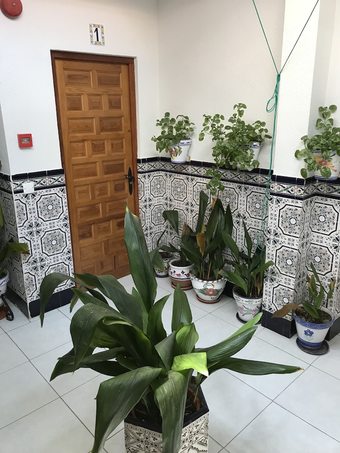 Ver fotos