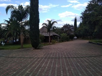 Ver fotos