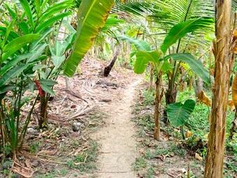 Lodge Posada Ecoturistica Wiwa