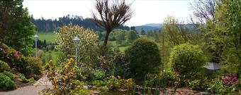 Waldhotel