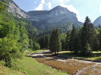 Hotel Gite L'herbe Tendre
