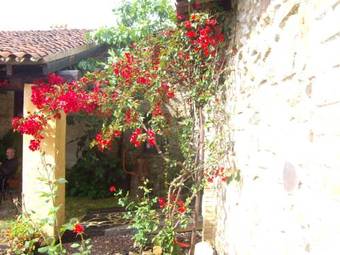 Finca Los Caleros