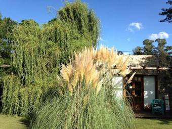Lodge Caba�as La Escondida