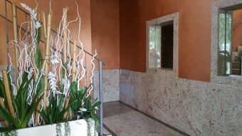 Ver fotos
