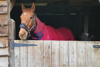 Apartamentos 17th Century Watermill
