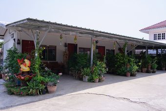 Ver fotos