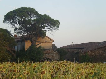 Hotel Les Ombelles Albigeoises