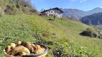 Agroturismo Agriturismo Cascina Cornella