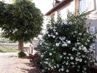 Maison Merle