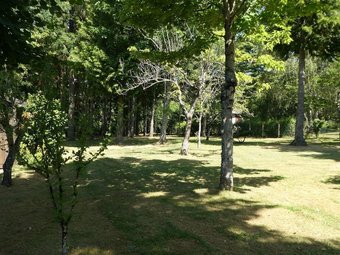 Gite Les Conif�res