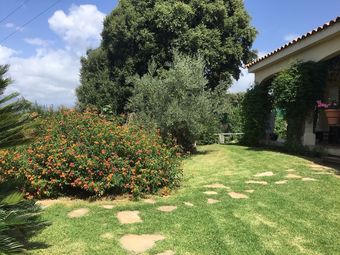 Ver fotos