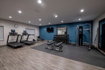 Hotel Hampton Inn & Suites Duncanville Dallas, Tx