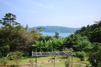 Guesthouse Basho