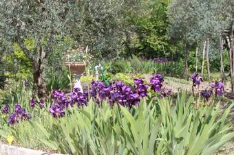 Amour Provence