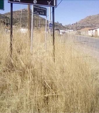 Ver fotos