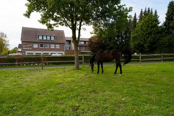 Hotel Emshof