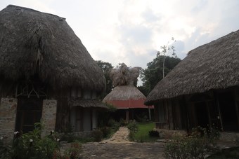 Ver fotos