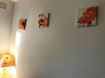 Ver fotos