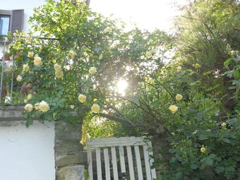 Mamota B&B